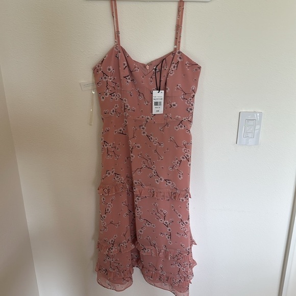 NWT Fame & Partners Cherry Bloom Dress | Size 10 | Coquette Vibes - Picture 4 of 10